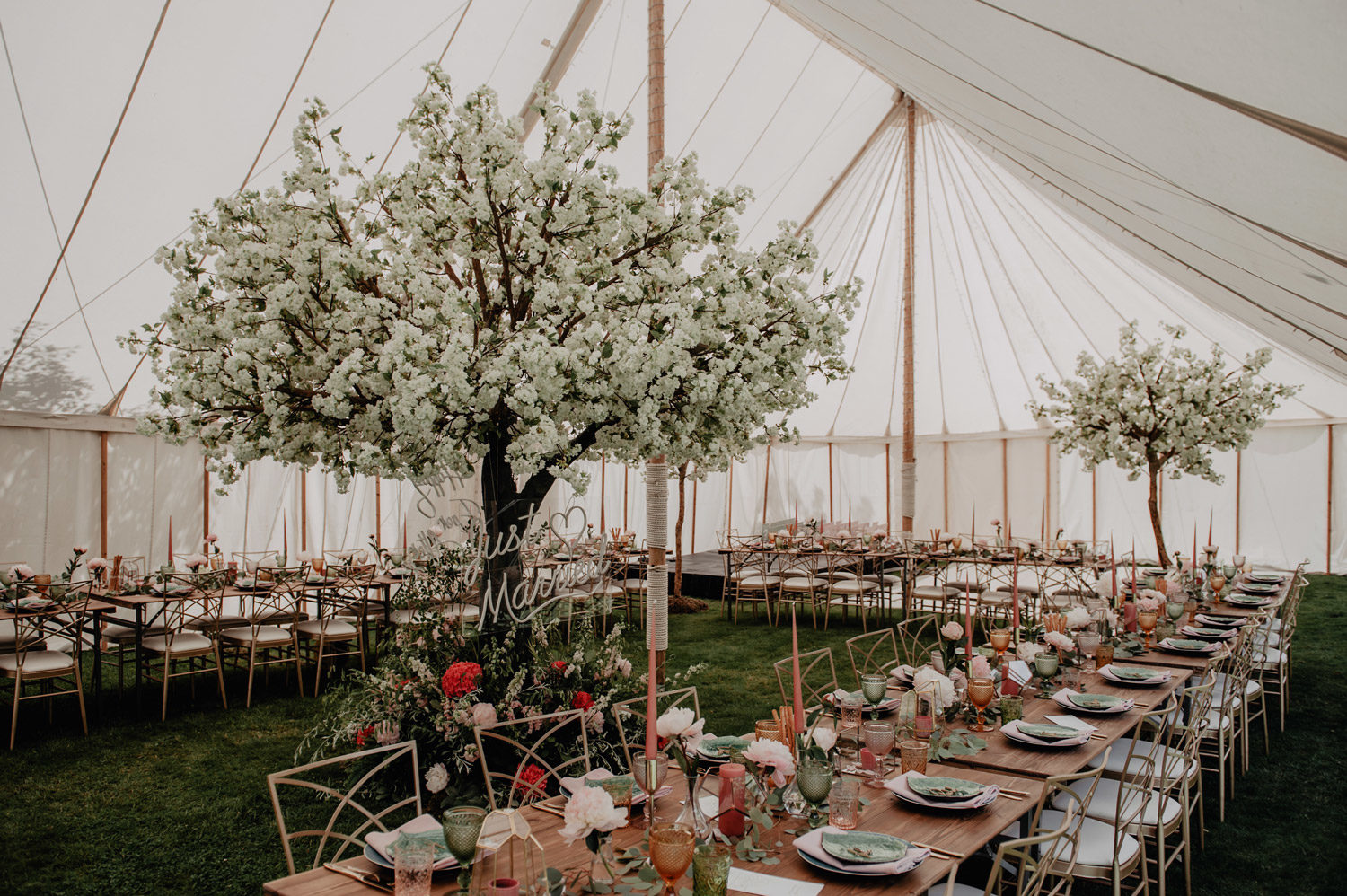 hampshire garden pole tent wedding photographer